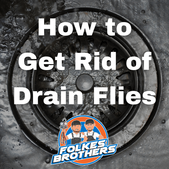 How to Get Rid of Drain Flies